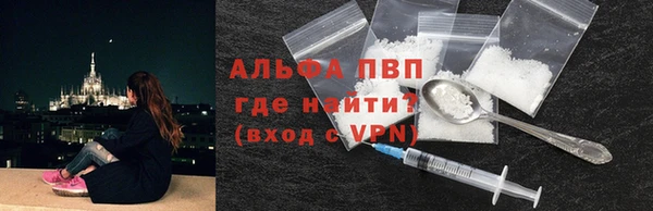 гашик Алексин