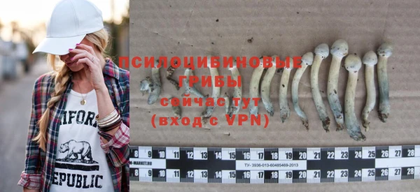МДПВ Абдулино