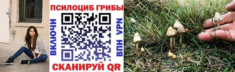 МЕГА ССЫЛКА Череповец Галлюциногенные грибы Magic Shrooms